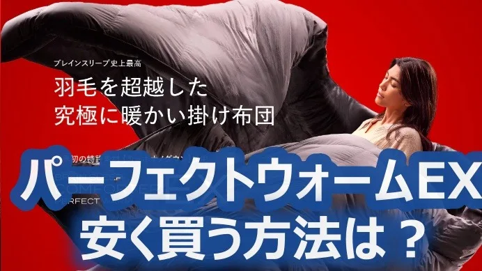 ブレインスリープ コンフォーター パーフェクト ウォームを安く買う