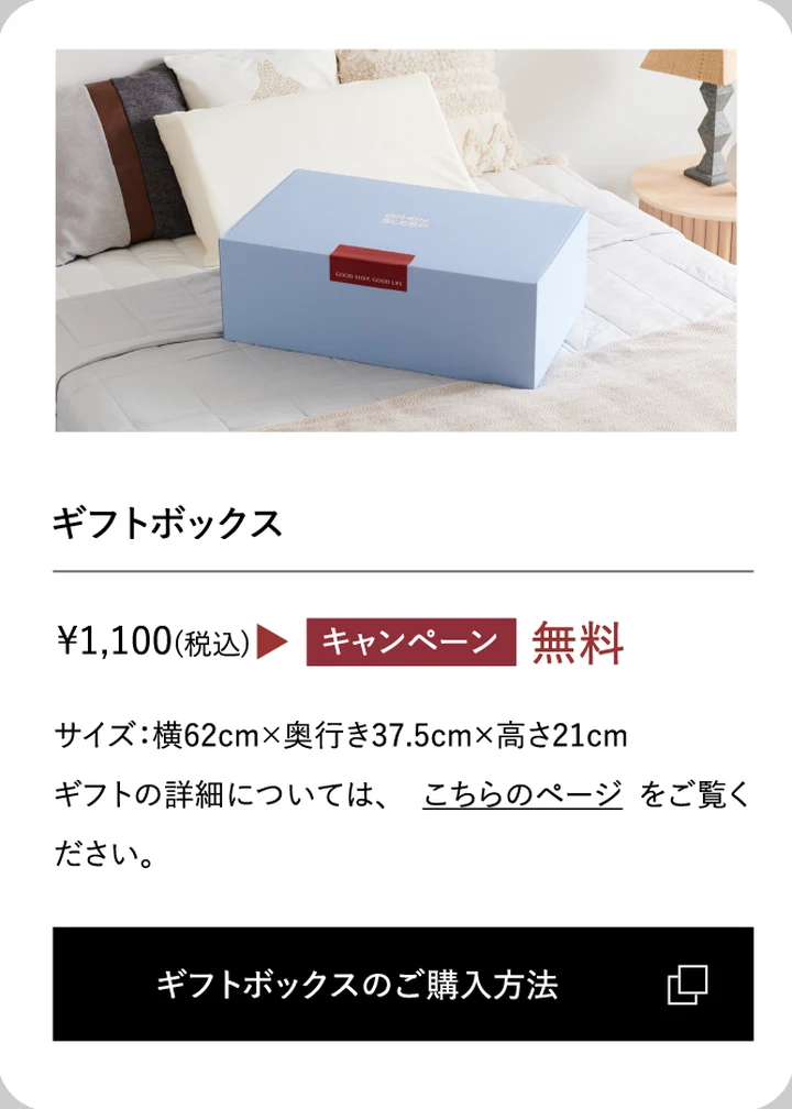 ブレインスリープ ギフトボックス 通常1100円が無料